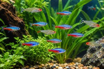 a school of various fish gliding gracefully through a bright aquarium creating a lively underwater scene
